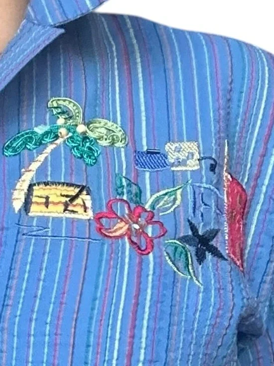 Blue Striped Embroidered Two-Piece Set - Picture 7 of 7